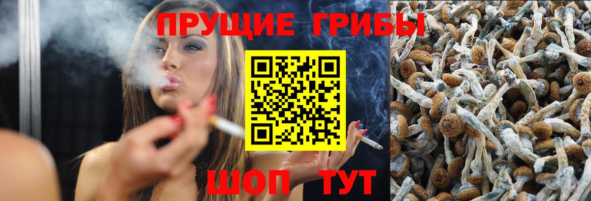 Псилоцибиновые грибы MAGIC MUSHROOMS  купить наркотик  Нижнекамск  Вход с VPN 